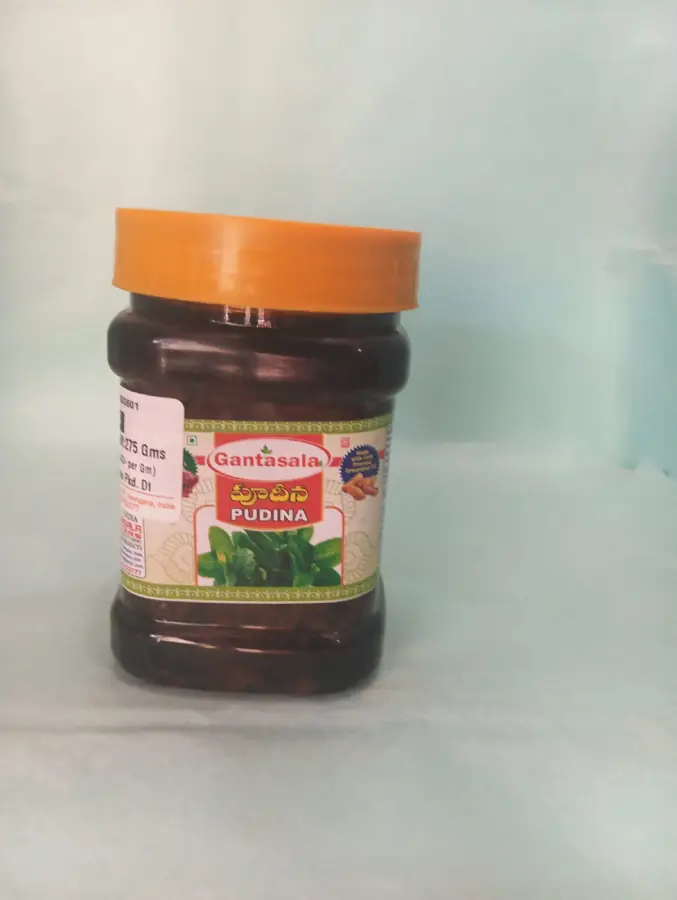 Pudina Pickle - Image 2